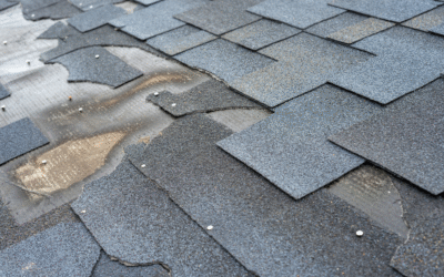 Missing Shingles In Towson, Do I Need To Replace My Roof?
