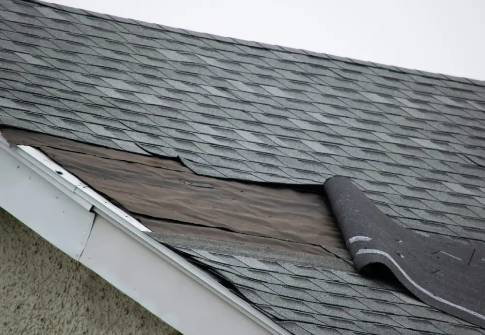missing-shingles-2 Missing Shingles in White Marsh, do I need to replace my roof?